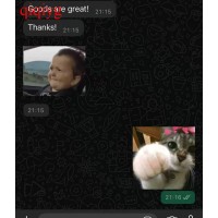 qiqiyg.com Offiziell...